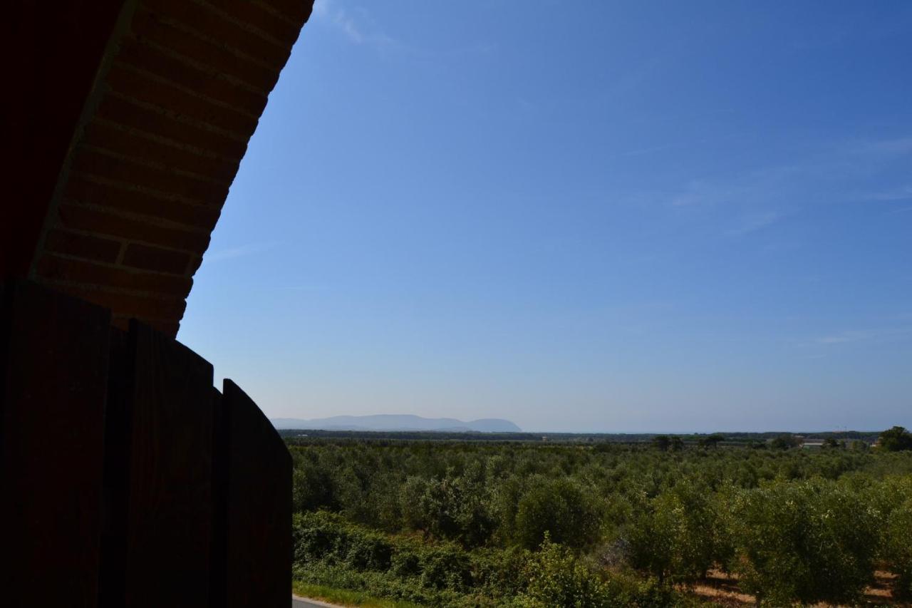 Podere San Giuseppe San Vincenzo Kültér fotó